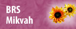 mikvah